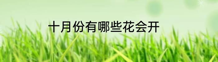 十月份有哪些花会开