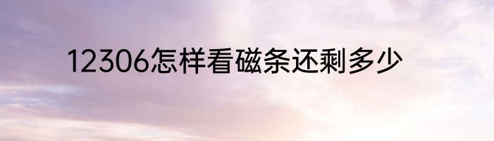 12306怎样看磁条还剩多少