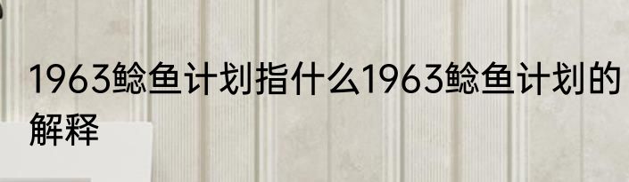 1963鲶鱼计划指什么1963鲶鱼计划的解释