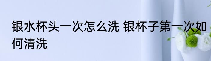 银水杯头一次怎么洗 银杯子第一次如何清洗