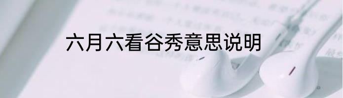 六月六看谷秀意思说明