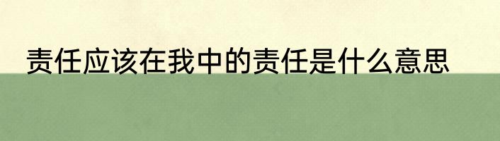 责任应该在我中的责任是什么意思