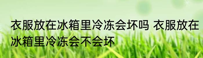 衣服放在冰箱里冷冻会坏吗 衣服放在冰箱里冷冻会不会坏