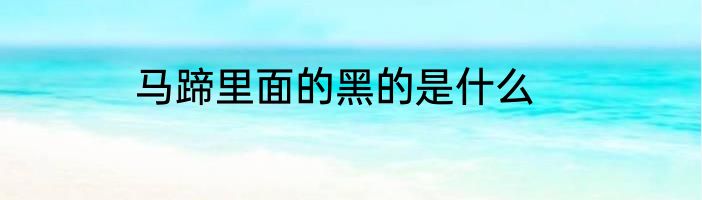 马蹄里面的黑的是什么