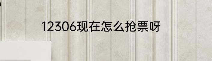 12306现在怎么抢票呀