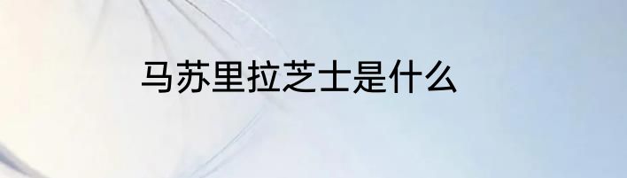 马苏里拉芝士是什么