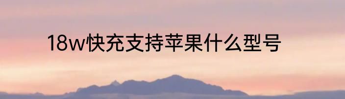 18w快充支持苹果什么型号