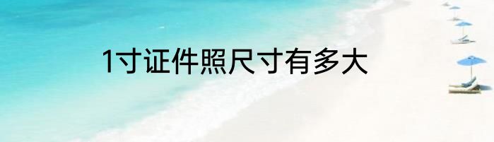 1寸证件照尺寸有多大
