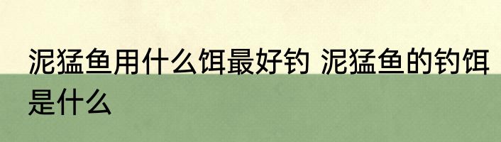 泥猛鱼用什么饵最好钓 泥猛鱼的钓饵是什么