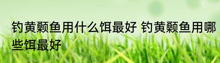 钓黄颡鱼用什么饵最好 钓黄颡鱼用哪些饵最好