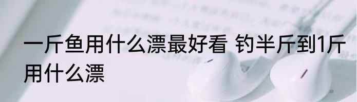 一斤鱼用什么漂最好看 钓半斤到1斤用什么漂