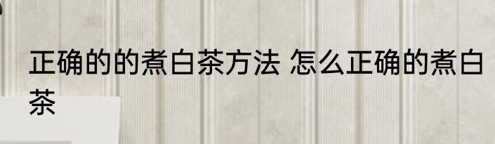 正确的的煮白茶方法 怎么正确的煮白茶