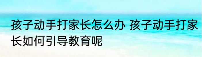 孩子动手打家长怎么办 孩子动手打家长如何引导教育呢