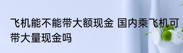 飞机能不能带大额现金 国内乘飞机可带大量现金吗