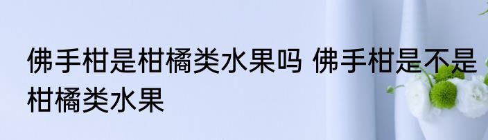佛手柑是柑橘类水果吗 佛手柑是不是柑橘类水果