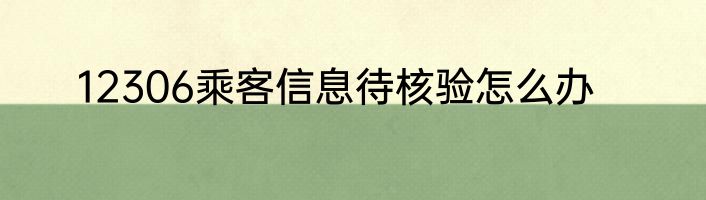 12306乘客信息待核验怎么办