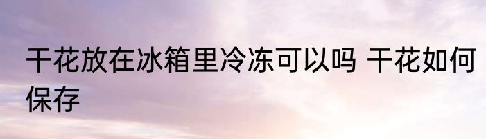 干花放在冰箱里冷冻可以吗 干花如何保存