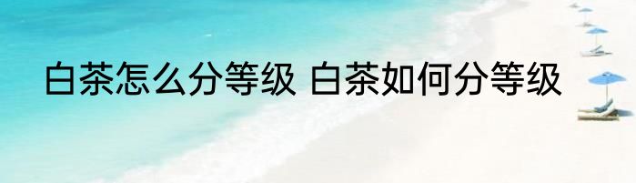 白茶怎么分等级 白茶如何分等级