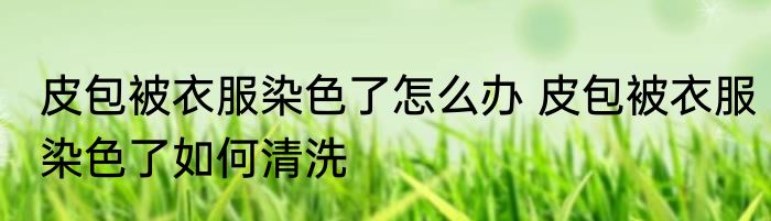 皮包被衣服染色了怎么办 皮包被衣服染色了如何清洗