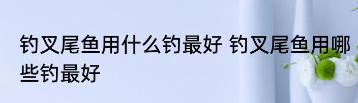 钓叉尾鱼用什么钓最好 钓叉尾鱼用哪些钓最好