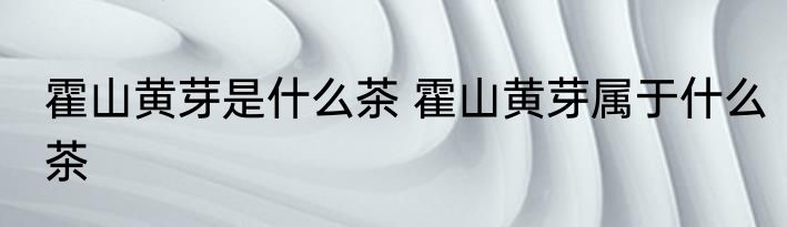 霍山黄芽是什么茶 霍山黄芽属于什么茶