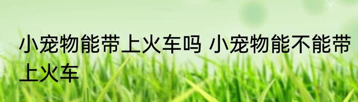 小宠物能带上火车吗 小宠物能不能带上火车