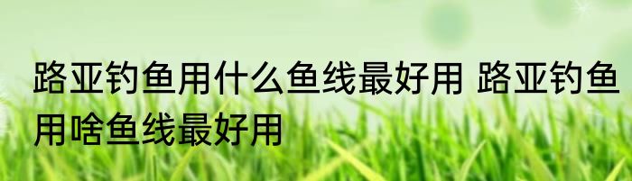 路亚钓鱼用什么鱼线最好用 路亚钓鱼用啥鱼线最好用