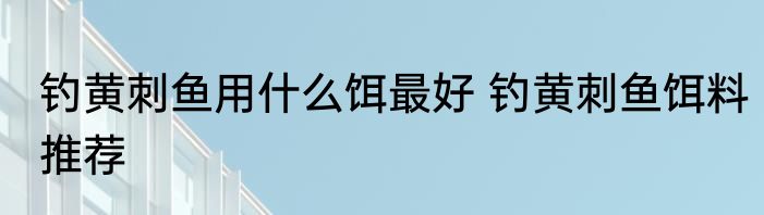 钓黄刺鱼用什么饵最好 钓黄刺鱼饵料推荐