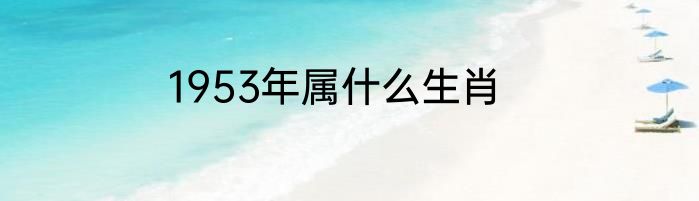 1953年属什么生肖