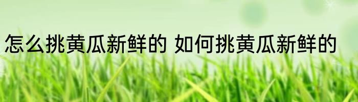 怎么挑黄瓜新鲜的 如何挑黄瓜新鲜的