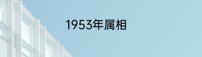 1953年属相