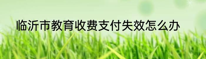 临沂市教育收费支付失效怎么办