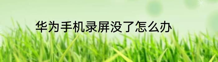 华为手机录屏没了怎么办
