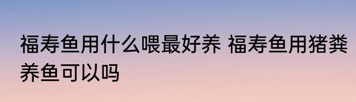 福寿鱼用什么喂最好养 福寿鱼用猪粪养鱼可以吗