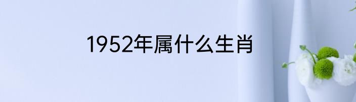 1952年属什么生肖