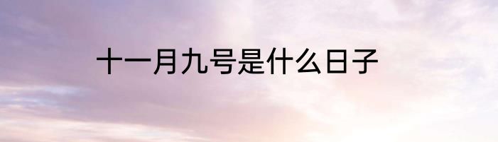 十一月九号是什么日子