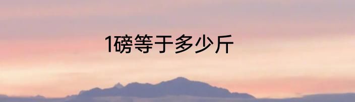 1磅等于多少斤