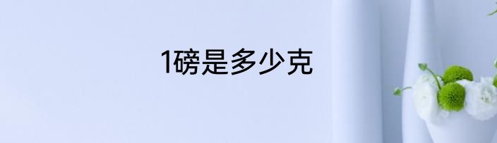 1磅是多少克