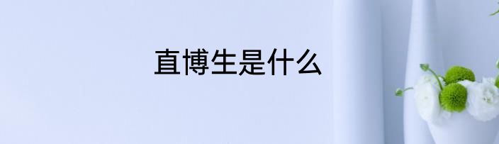 直博生是什么