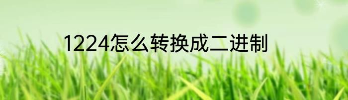 1224怎么转换成二进制