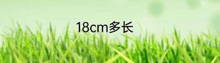 18cm多长