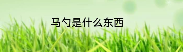马勺是什么东西