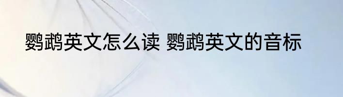 鹦鹉英文怎么读 鹦鹉英文的音标