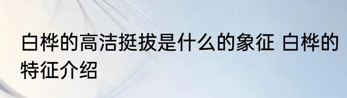 白桦的高洁挺拔是什么的象征 白桦的特征介绍