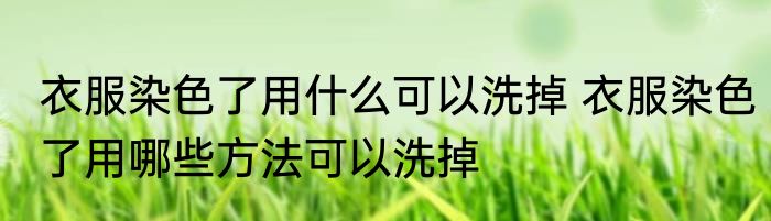 衣服染色了用什么可以洗掉 衣服染色了用哪些方法可以洗掉