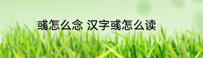 彧怎么念 汉字彧怎么读