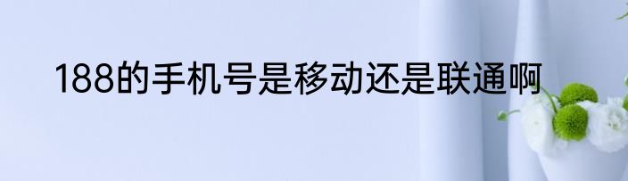 188的手机号是移动还是联通啊