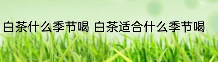 白茶什么季节喝 白茶适合什么季节喝