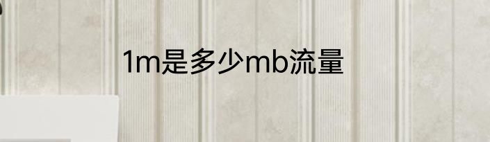 1m是多少mb流量