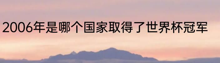 2006年是哪个国家取得了世界杯冠军